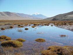 Kharkhiraa  Valley, West Mongolia